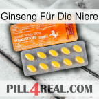 Ginseng Für Die Niere new05